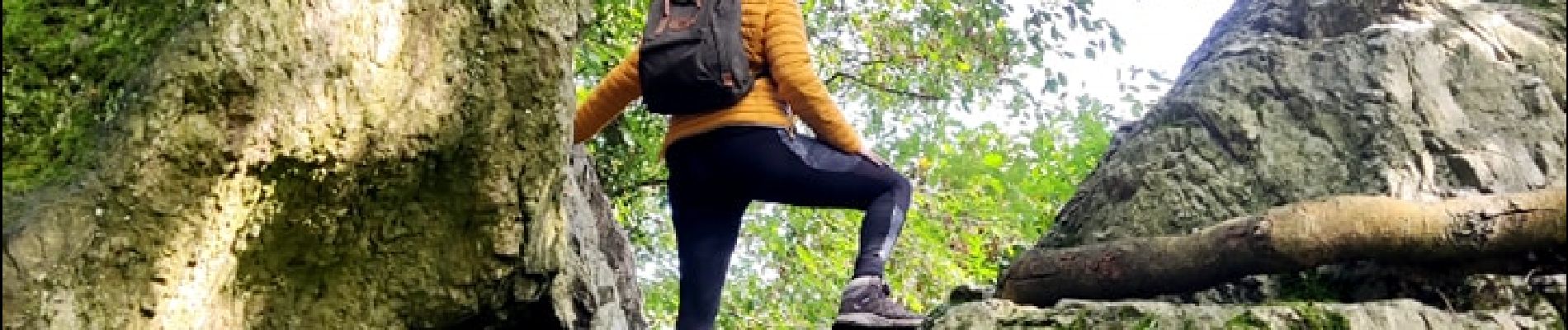 Trail Walking Incourt - La promenade des grosses pierres ( 4,9km ) - Photo