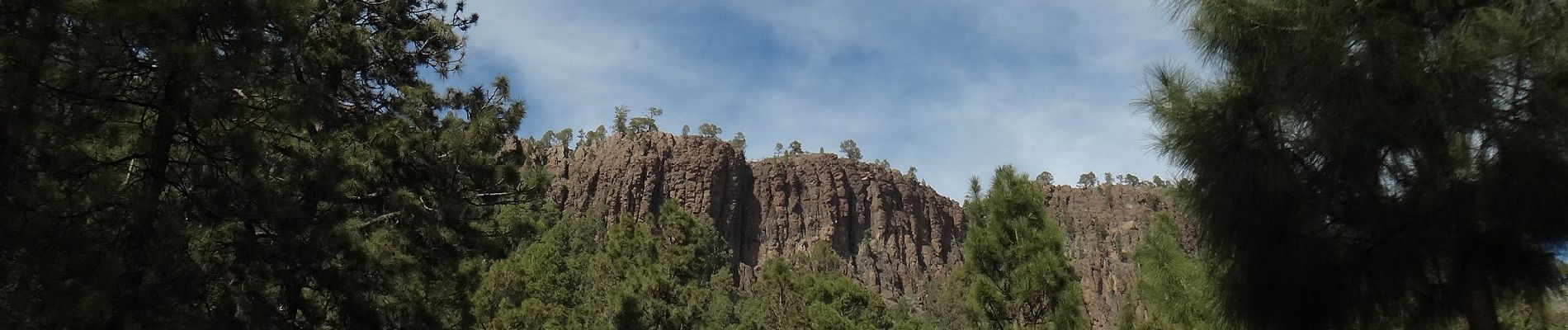 Excursión A pie La Orotava - S-31 Cumbres de Ucanca - Photo