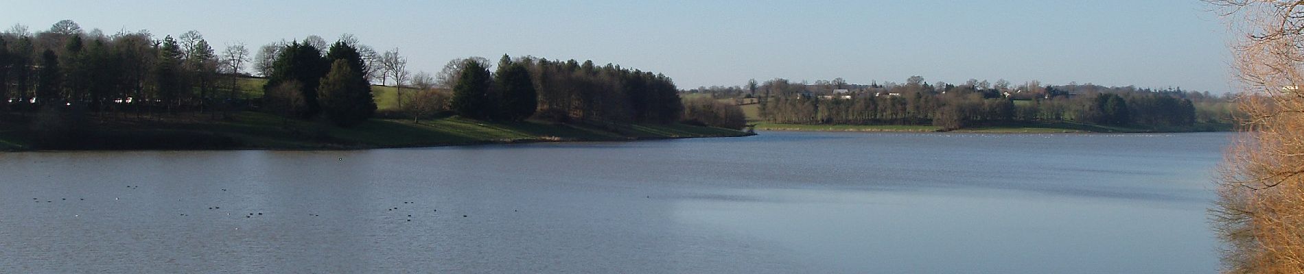 Tocht Te voet Vitré - Circuit de La Valière - Photo