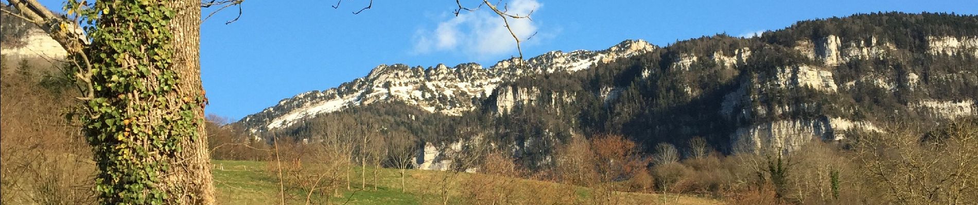 Excursión Senderismo La Sure en Chartreuse - Au départ du col de la placette - Photo