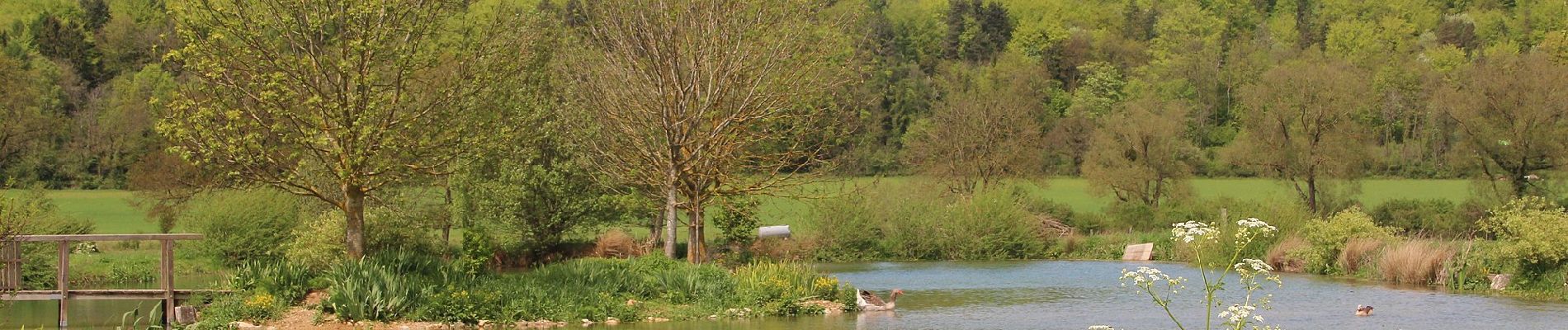 Trail On foot Foug - Circuit de Grammont - Photo