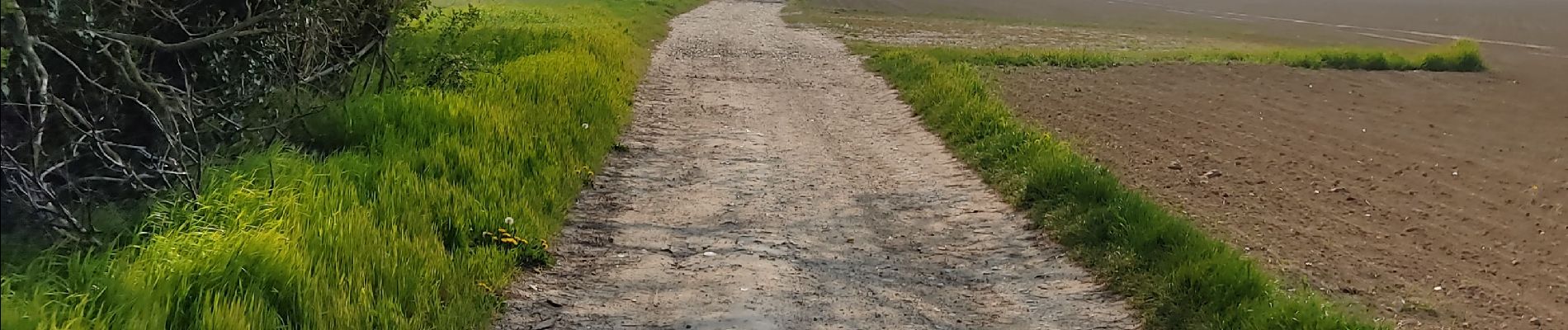 Randonnée Marche Précy-sur-Oise - randonnée de precy au bois st Michel - Photo