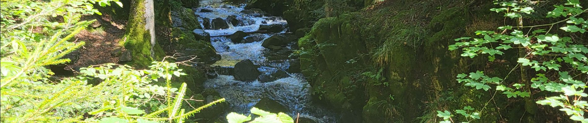 Trail Walking Girmont-Val-d'Ajol - Girmont Val d'Ajol 5,5km  - Photo