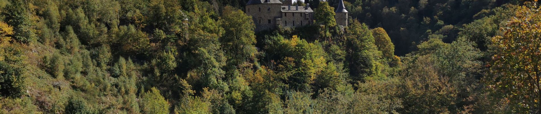 Randonnée Marche Waimes - Barrage de Robert Ville et Château Steinhart - Photo