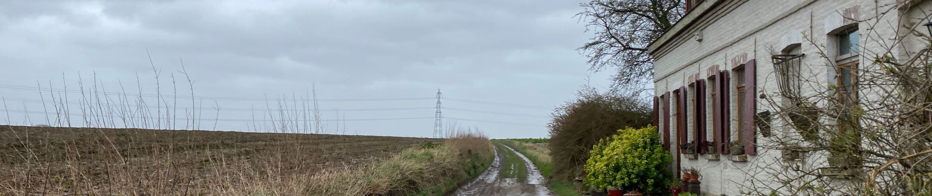 Tocht Stappen Gruson - Gruson 13,5 km - Photo