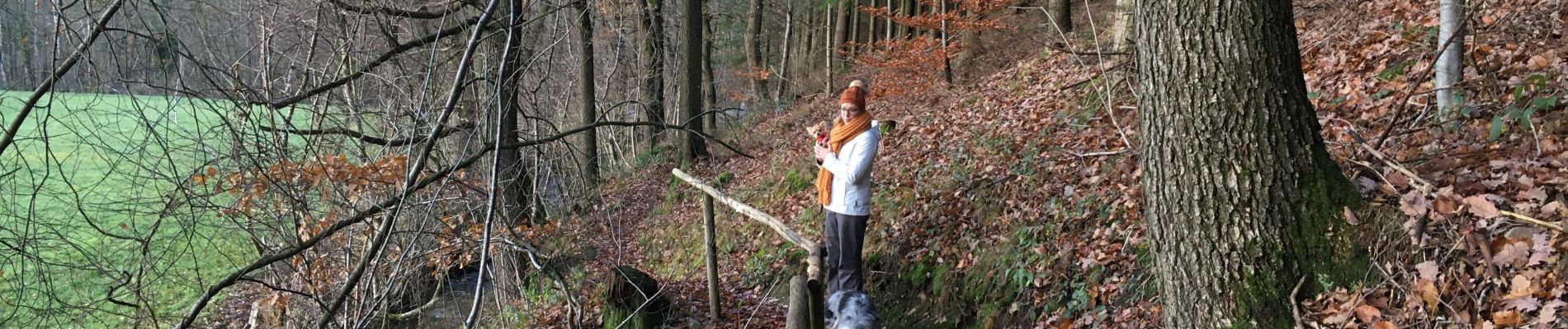 Excursión Senderismo Eupen - Wanderung langhetal  - Photo