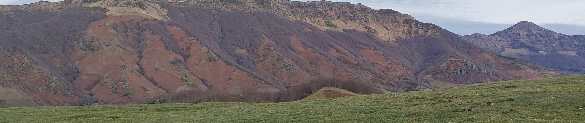 Randonnée Marche Mandailles-Saint-Julien - le courpou sauvage  - Photo