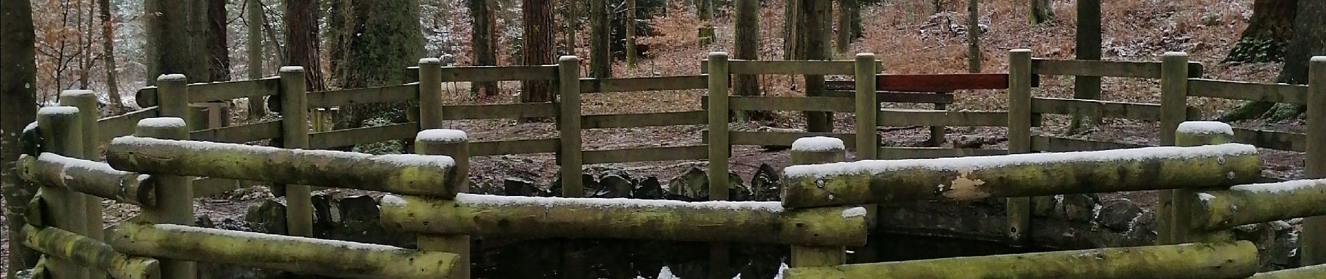 Randonnée Marche Hargarten-aux-Mines - randonnée du mardi - Photo