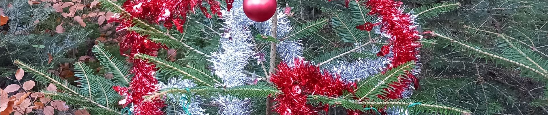 Tour Wandern Arches - arches les sapins - Photo