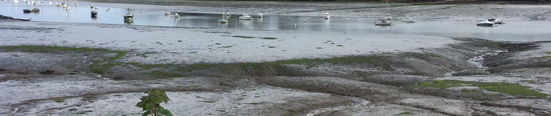 Percorso Corsa a piedi Roscoff - Roscoff-12092019 - Photo