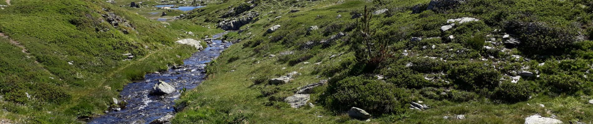 Percorso Marcia Livet-et-Gavet - Plateau des lacs au pied du Taillefer - Photo