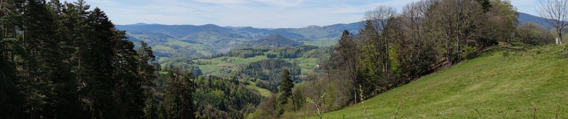 Excursión Bici de montaña Aubure - Fréland Kalblin - Photo