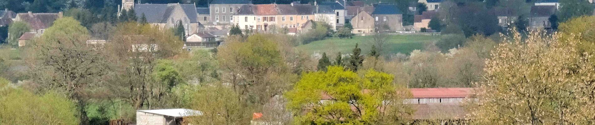 Tocht Stappen Belforêt-en-Perche - La Perrière - Mortagne-au-Perche (TCP) 29 km - Photo