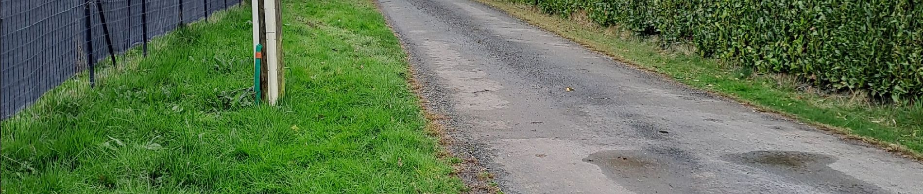 Tocht Stappen Coursac - boucle du rosier marche bleue - Photo