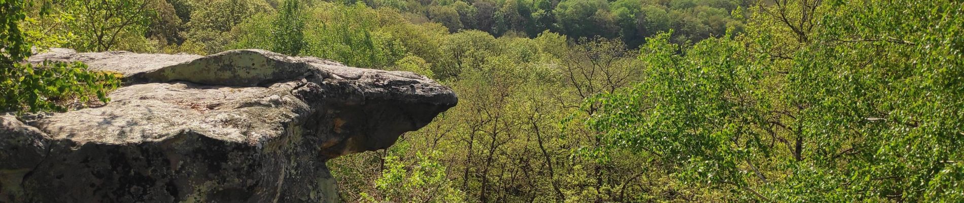 Excursión Senderismo Ballancourt-sur-Essonne - ballancourt - Photo