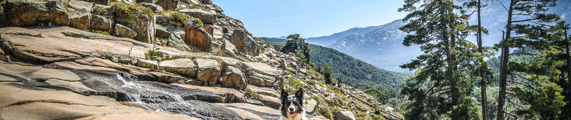 Randonnée Marche Albertacce - Cascade de Radule - Photo