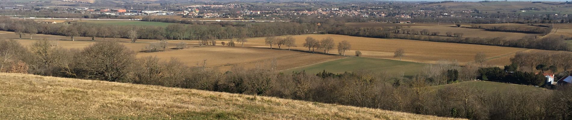 Tour Wandern Gardouch - Canal du Midi - Photo