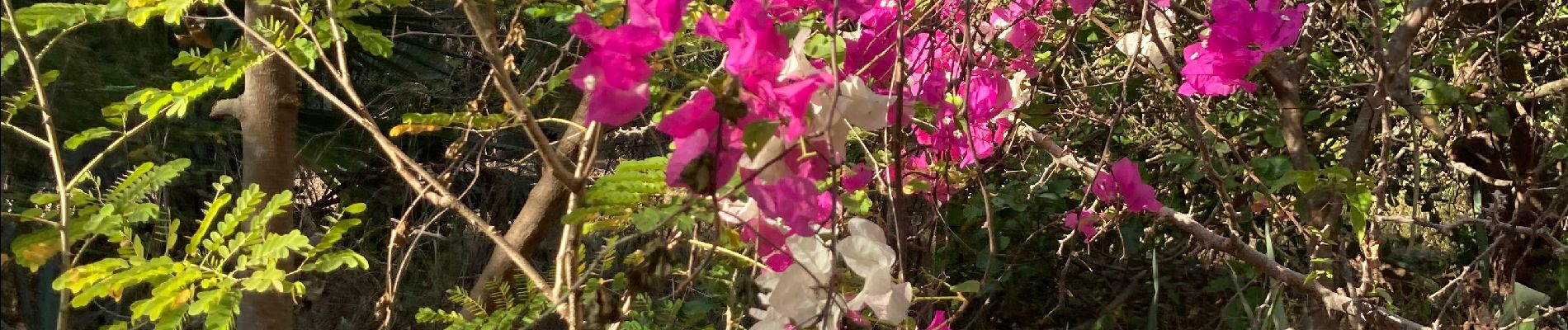 Tour Wandern Unknown - Randonnée, repas, Fatou - Photo