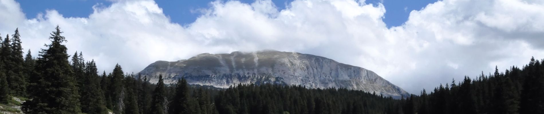 Trail Walking Saint-Agnan-en-Vercors - Aiguillette ou Petit Veymont par la Coche - Grande Cabane - Photo