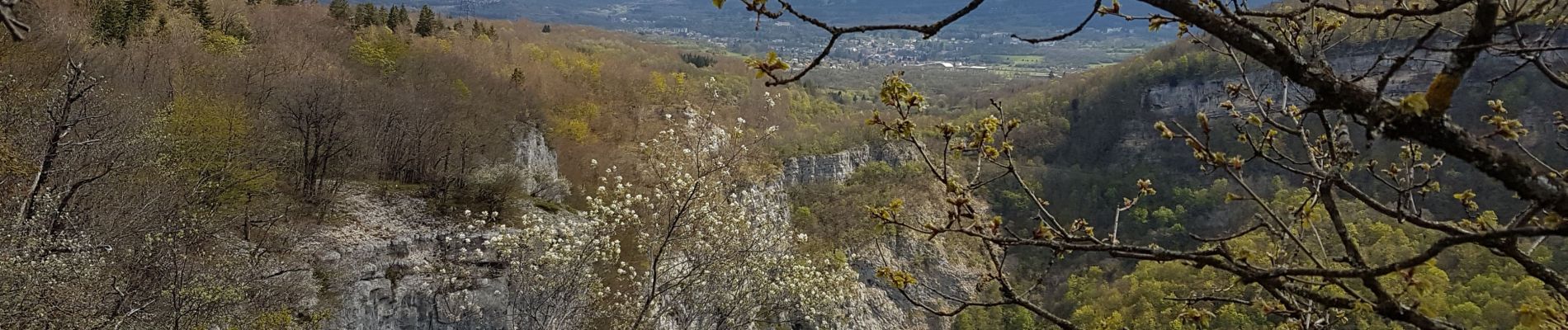 Tocht Stappen Plateau d'Hauteville - Nantuy La Berche - Photo