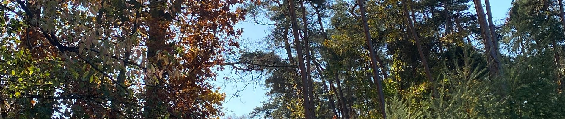 Randonnée Marche Genappe - Bois de Ways Ruart, à l’envers - Photo