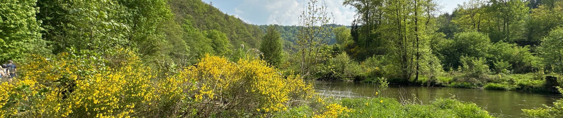 Tour Wandern La Roche-en-Ardenne - Warempage 23 km - Photo