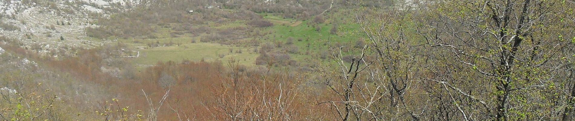 Tour Zu Fuß Unknown - Bačić kuk iz Ravnog Dabra preko Bačić dulibe i Ripinovca - Photo