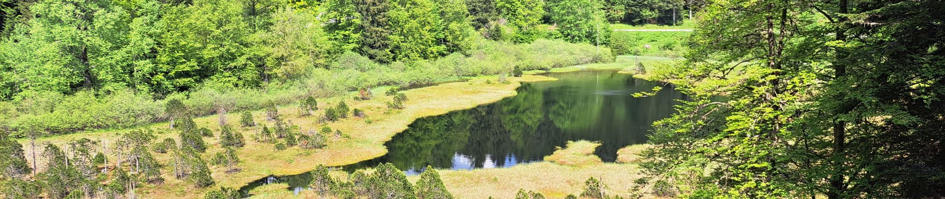 Randonnée Marche Séchilienne - Réserve naturelle du lac Luitel - Photo