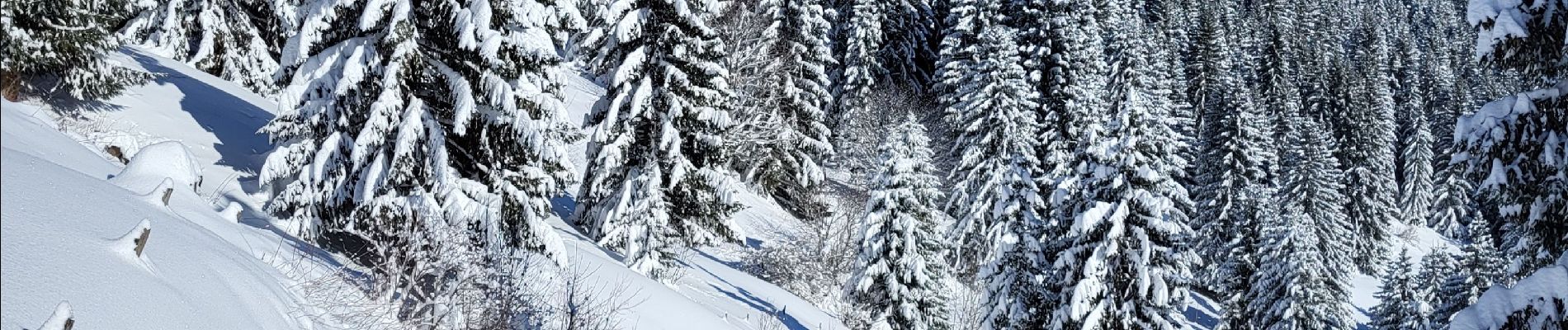 Tour Schneeschuhwandern La Chapelle-d'Abondance - Raquettes 5ème jour 14km - Photo