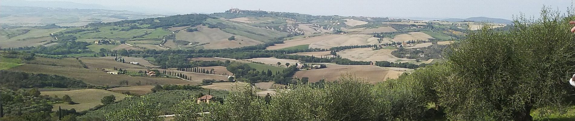 Tour Wandern Montepulciano - Montepulcciano Piennza - Photo