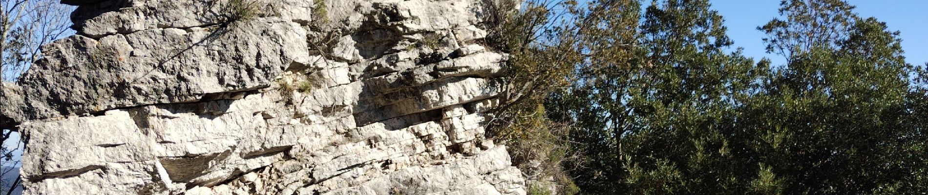 Randonnée Marche Méounes-lès-Montrieux - le Gapeau par Valbelle - Photo