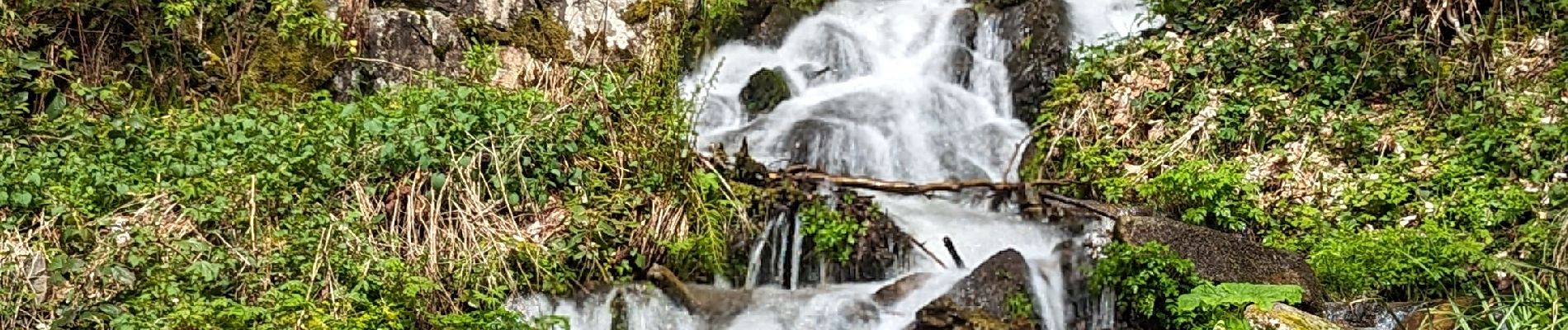 Randonnée Marche Le Hohwald - 2024-04-27 Marche Cascade du Hohwald Champ du Feu - Photo