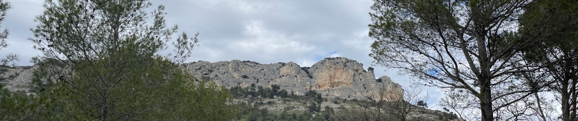 Excursión Senderismo Mérindol - PF-Mérindol - Autour de la Roque Malière - Arboretum - Vieux Mérindol - FV - 28.03.2024 - Photo