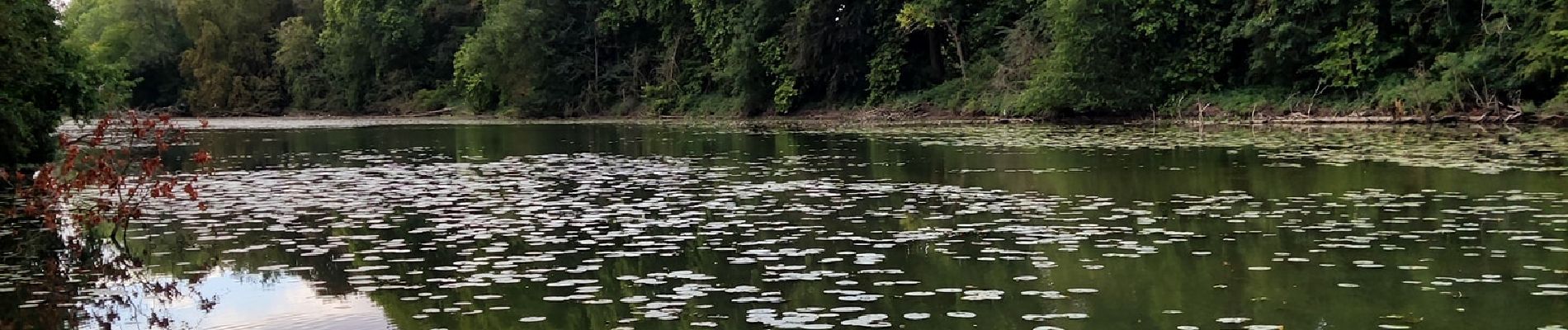 Tour Wandern Enghien - Le Parc d'Enghien et ses jardins exceptionnels  - Photo