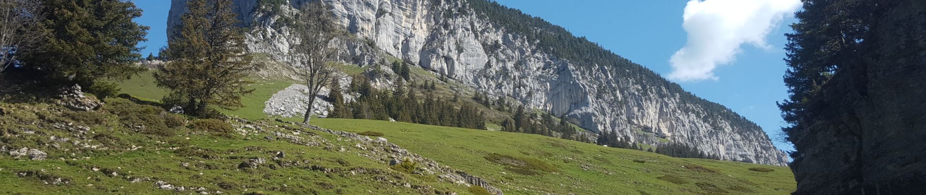 Tocht Stappen Entremont-le-Vieux - Sommet Pinet à partir de la Balme - Photo