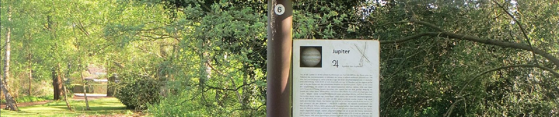 Tour Zu Fuß Niederkrüchten - Rundweg A1 Dilborner Wald - Photo