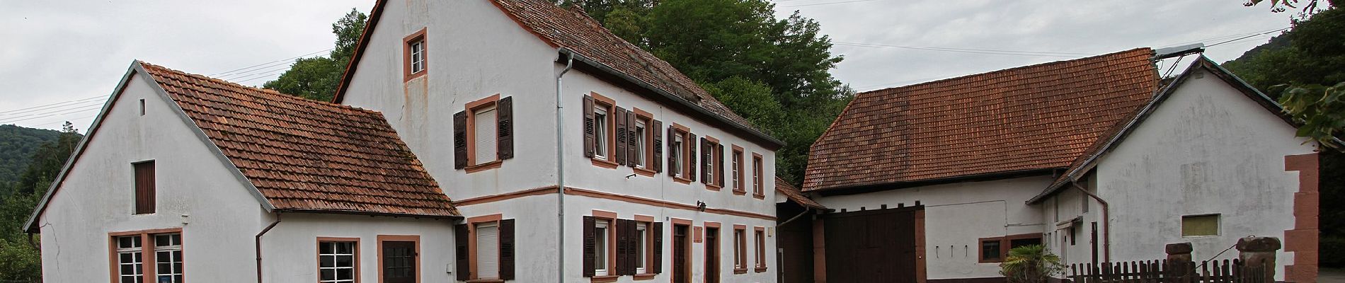 Percorso A piedi Bobenthal - Hasenkopf-Runde - Photo