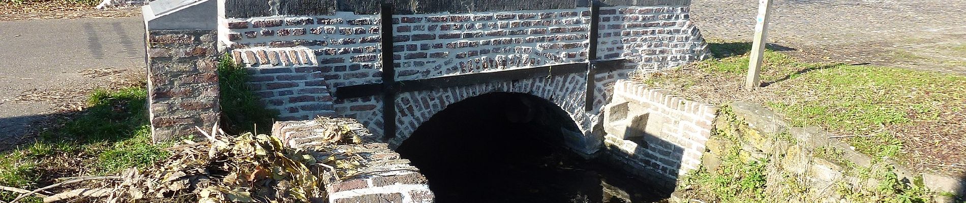 Percorso A piedi Kinrooi - Kessenich en de Drie Eigen Groene rechthoek - Photo