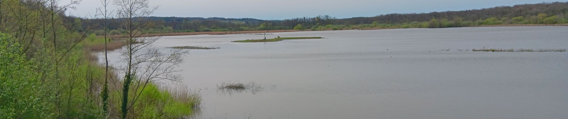 Percorso Marcia Chimay - tour du lac de virelle - Photo