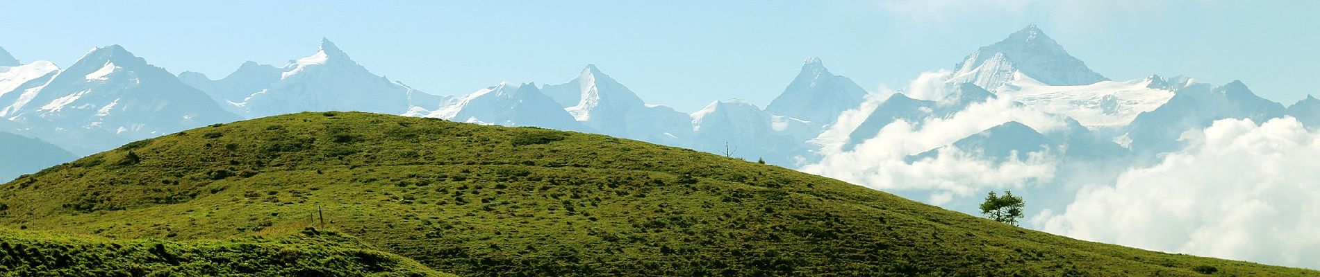 Tour Zu Fuß Crans-Montana - Montagne du Plan - Trubelstock - Photo