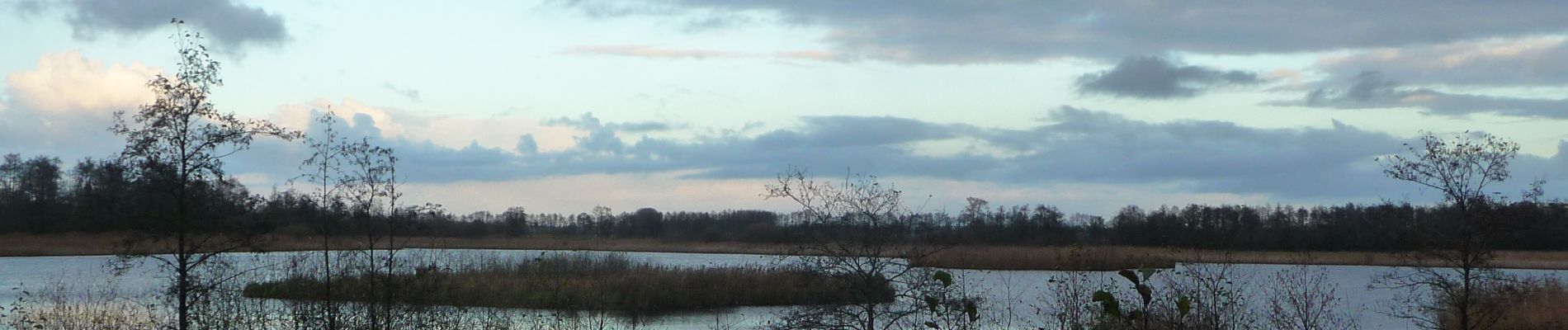 Randonnée A pied Steenwijkerland - Wikiloc Wanneperveen De Wieden (PVDB) - Photo