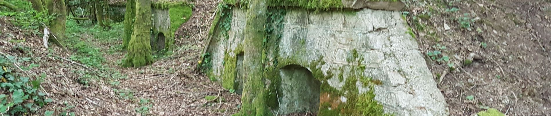 Tour Wandern Châlonvillars - Chalonvillars - fort du Salbert  - Photo