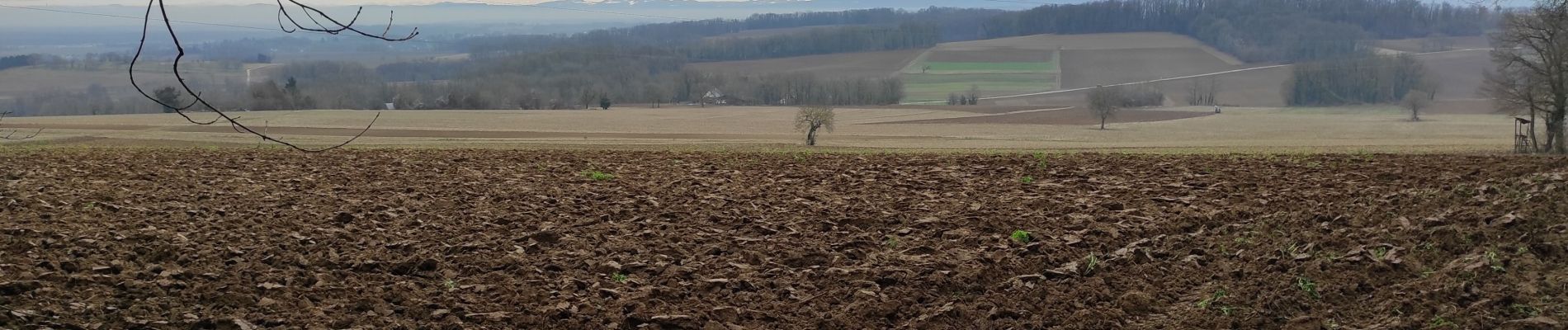 Tocht Stappen Mulhouse - Waldeck - Photo