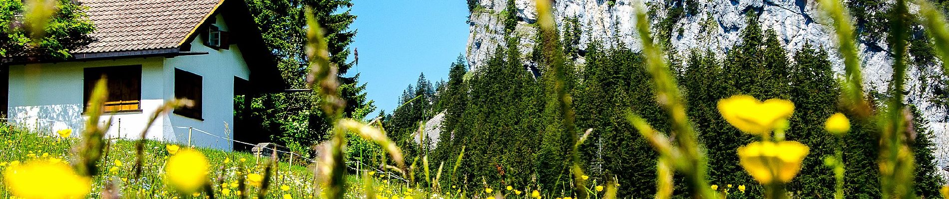 Randonnée A pied Stadt Hohenems - Schuttannen-Boxberg (schwer) - Photo