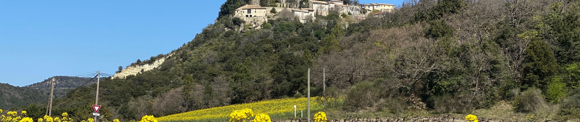 Trail Walking Saint-Paul-Trois-Châteaux - Clansayes - sentier de la truffe  - Photo