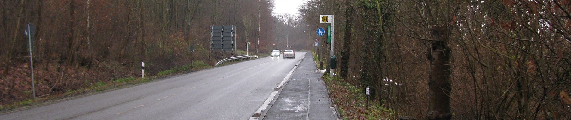 Tocht Te voet Baunatal - Guntershausen - Bilsteiner Born - Photo