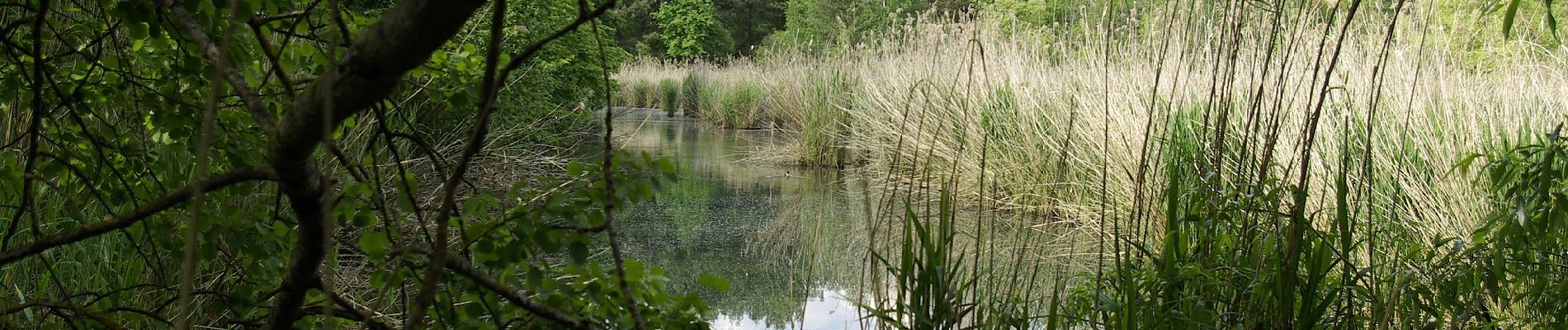 Tocht Te voet Heßdorf - Erlangen 7 grün - Photo