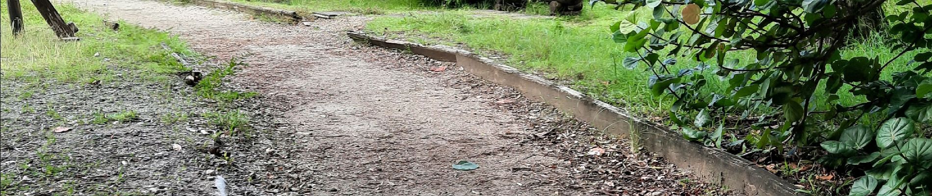 Tour Wandern Le Lamentin - Parcours de santé du morne Cabri  - Photo