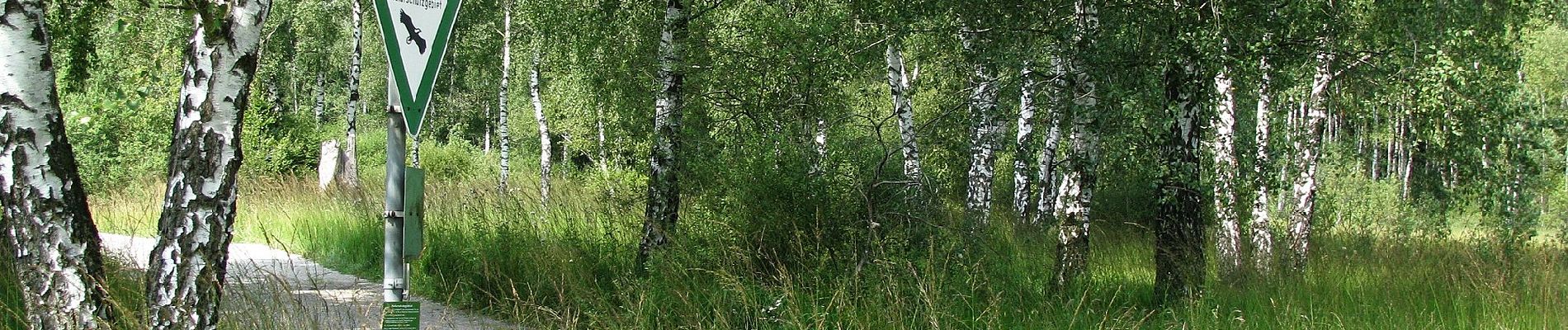 Tour Zu Fuß Wörthsee - Archäologischer Wanderweg - Photo