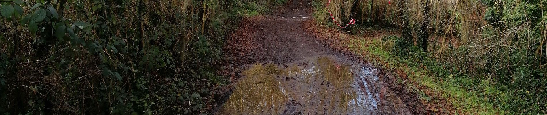 Tocht Stappen Theux - Charmille - Vert Buisson - La Reid - Photo